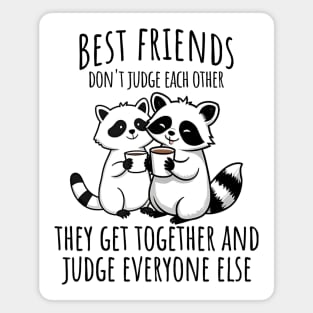 Best Friends Don't Judge The Other, snarky raccoon design Magnet
